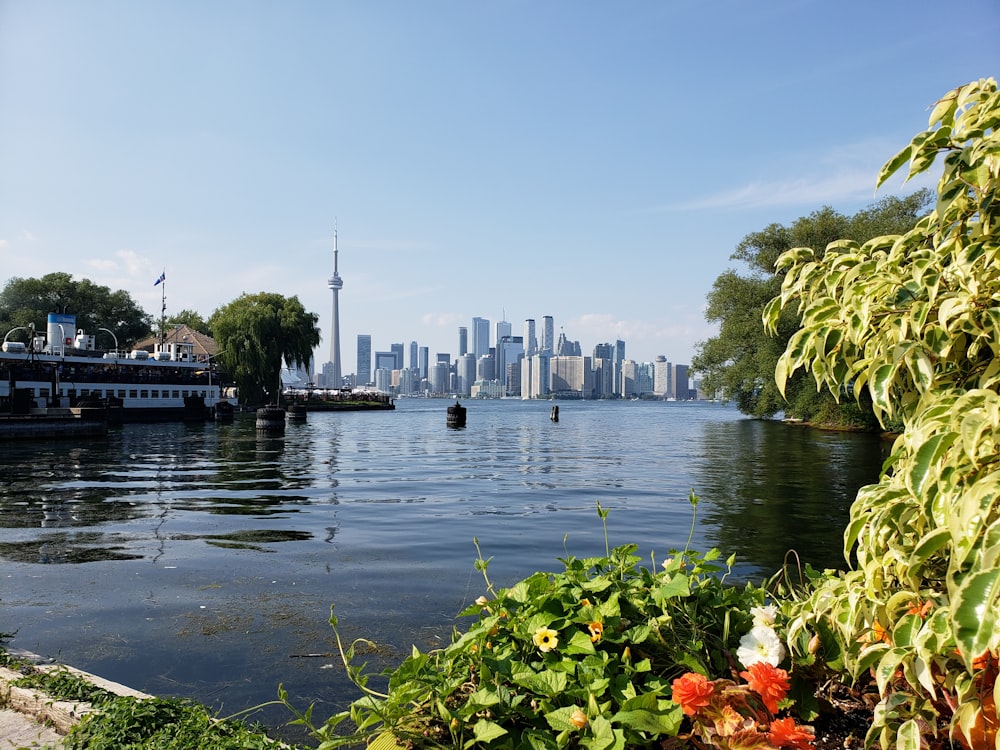 city skyline during daytime