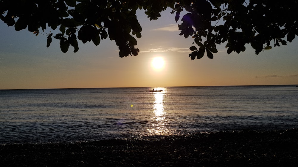 body of water near shore during daytime