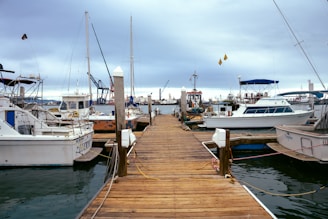 motorboats on calm body of water