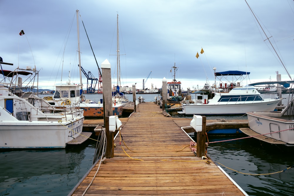 Bateaux à moteur sur plan d’eau calme