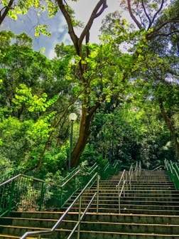 stairs with rails surrounded with trees