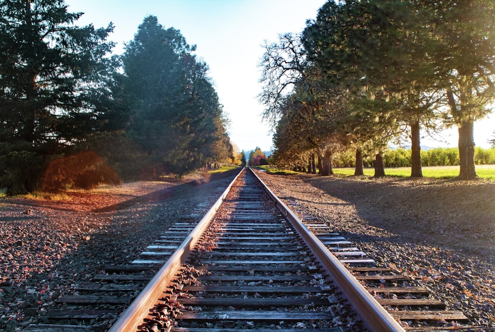 brown metal railroad