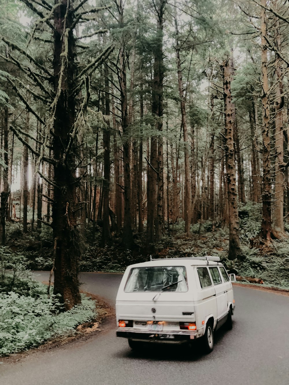 white panel van in the forest