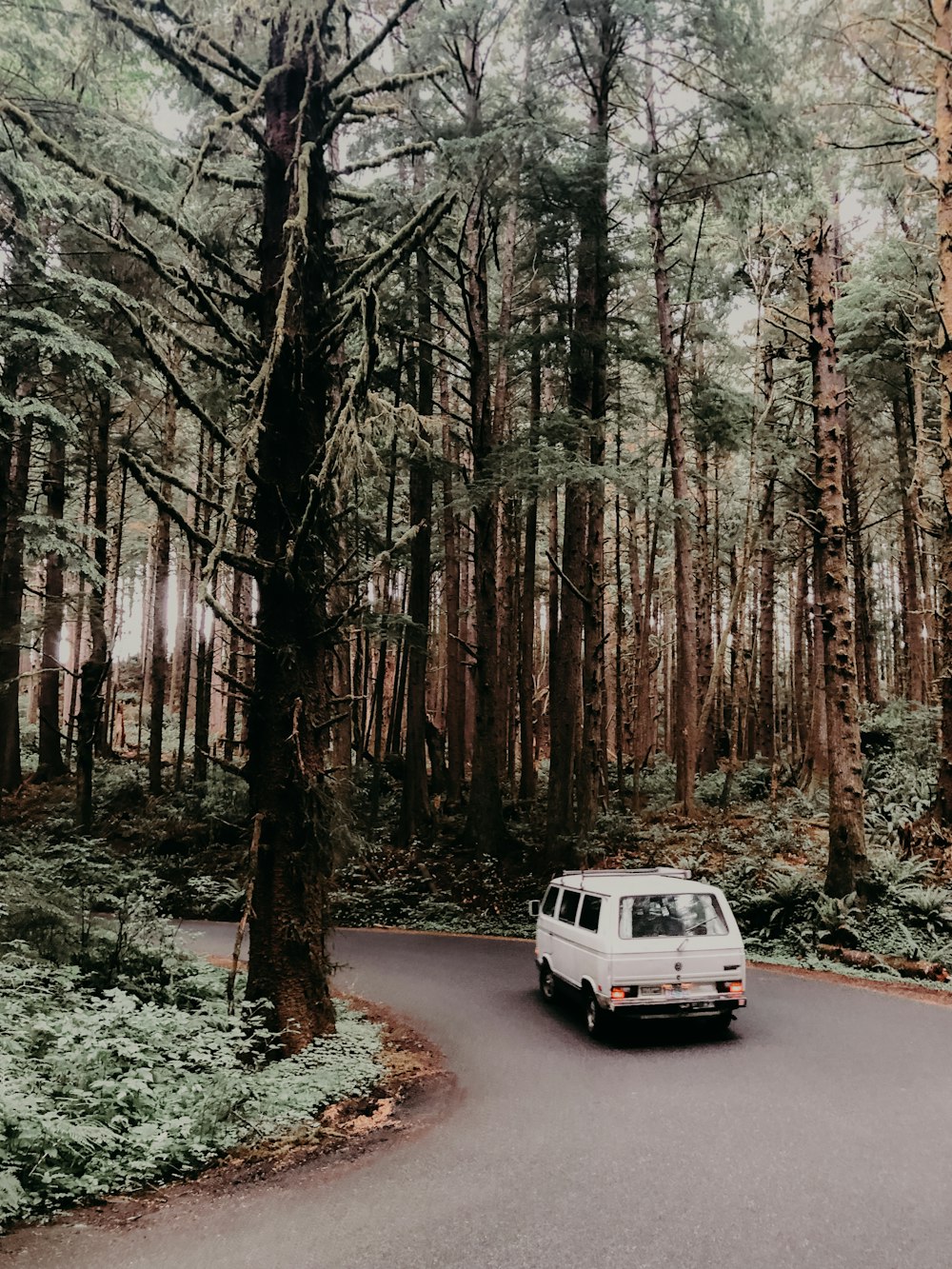 white van traveling on road