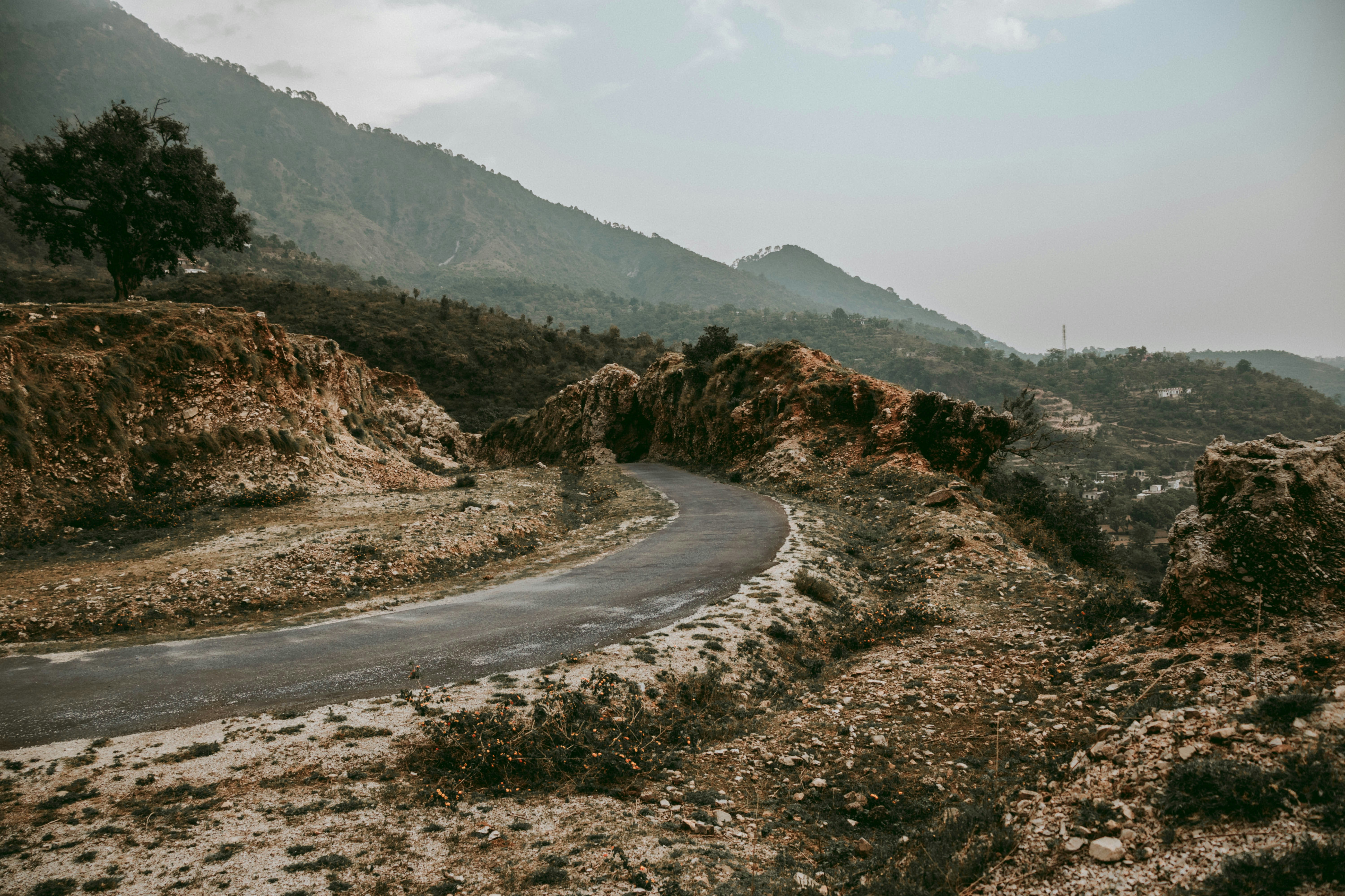 Photo by rainaabhinav10