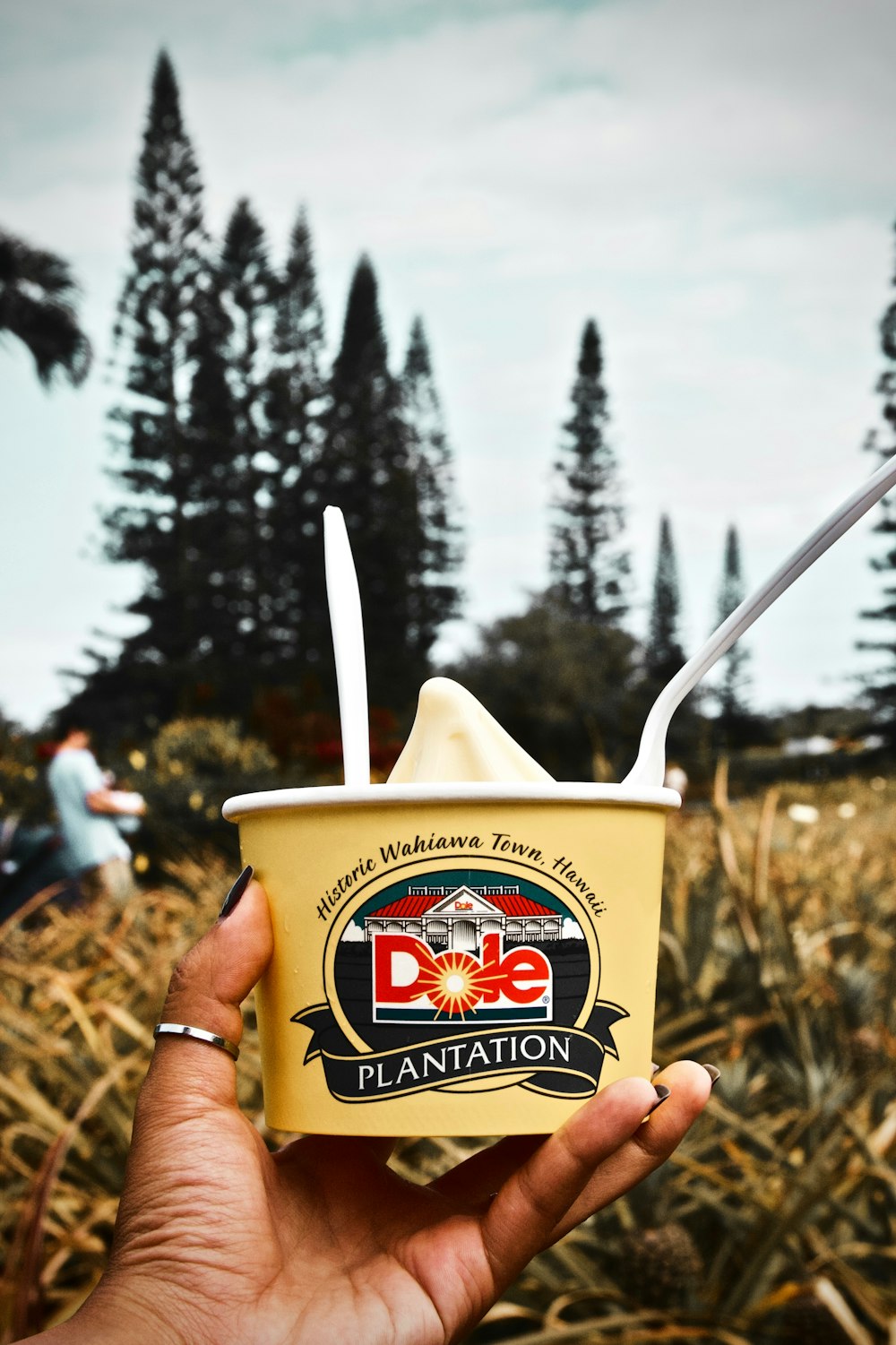 person holding Dole Plantation ice cream cup