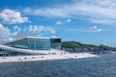 people sitting and walking near body of water