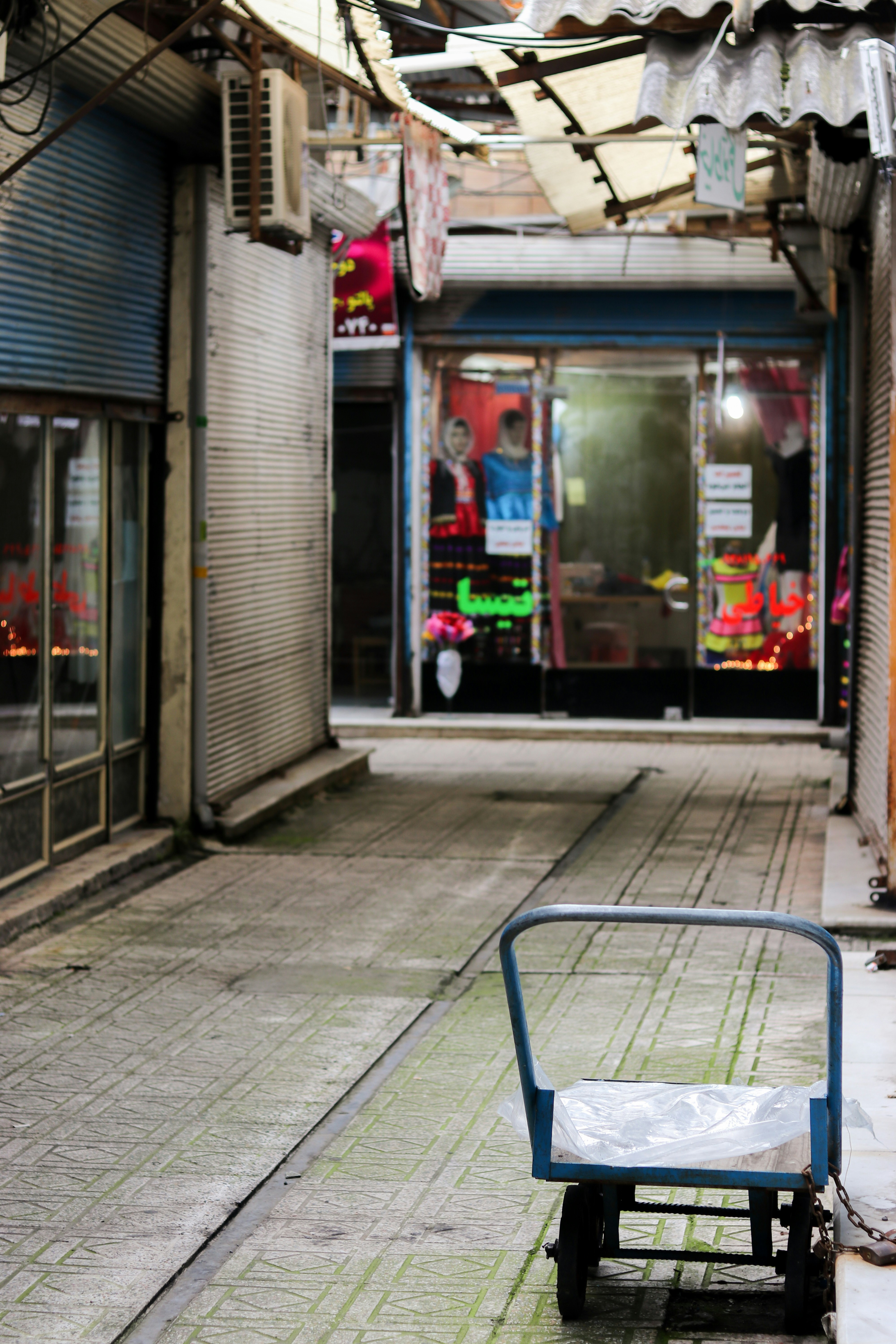 Photo by elahemotamedi