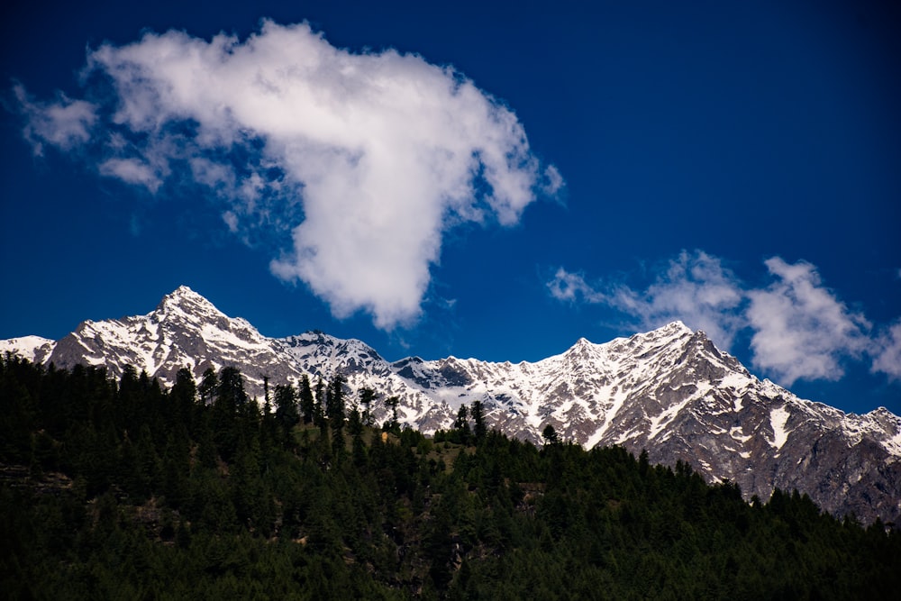 landscape photography of mountain surrounded with trees