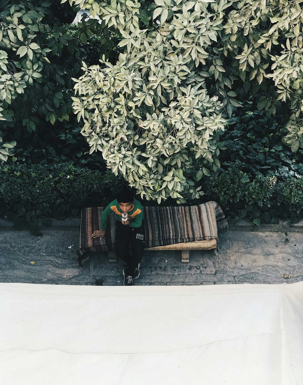 man siting near tree