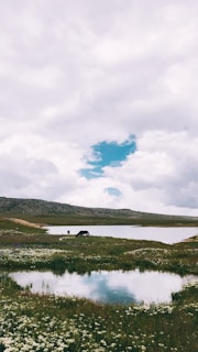 A serene landscape featuring horses grazing near a tranquil blue lake.