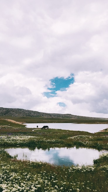 A serene landscape featuring horses grazing near a tranquil blue lake.