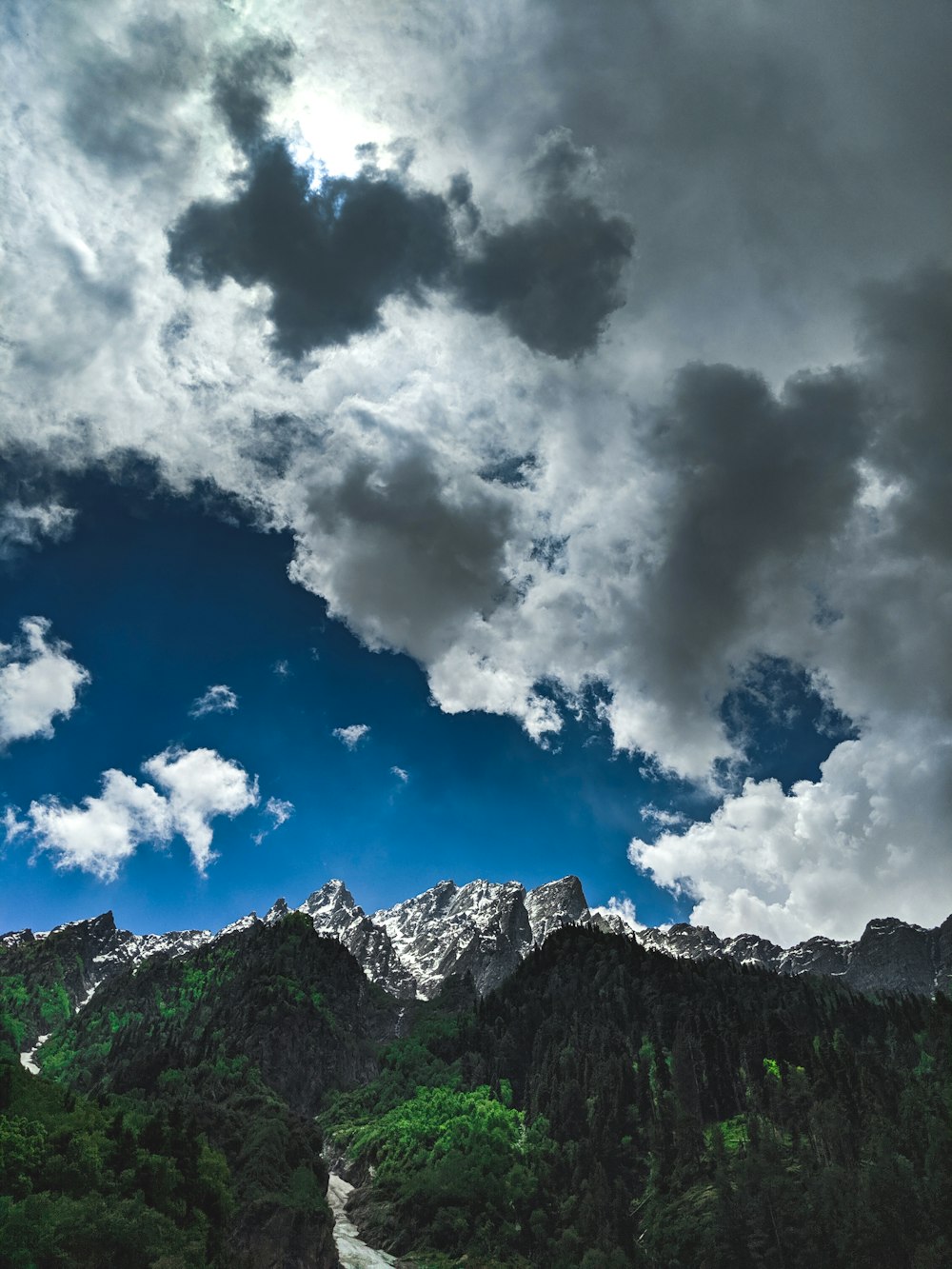 green trees and gray clouds