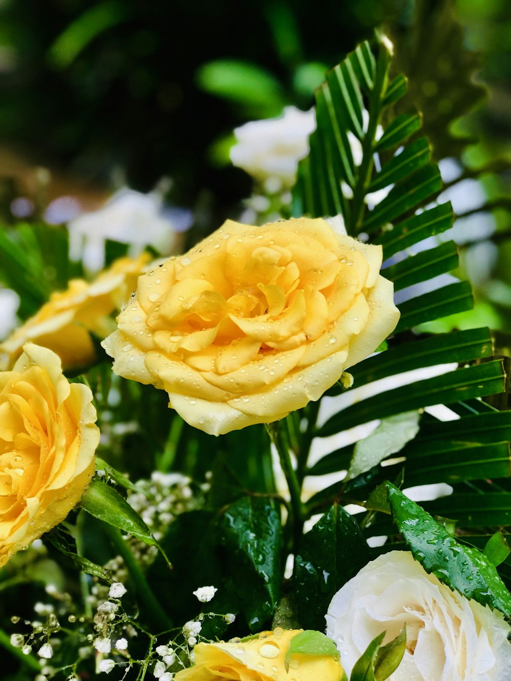 selective focus photography of yellow cluster flower