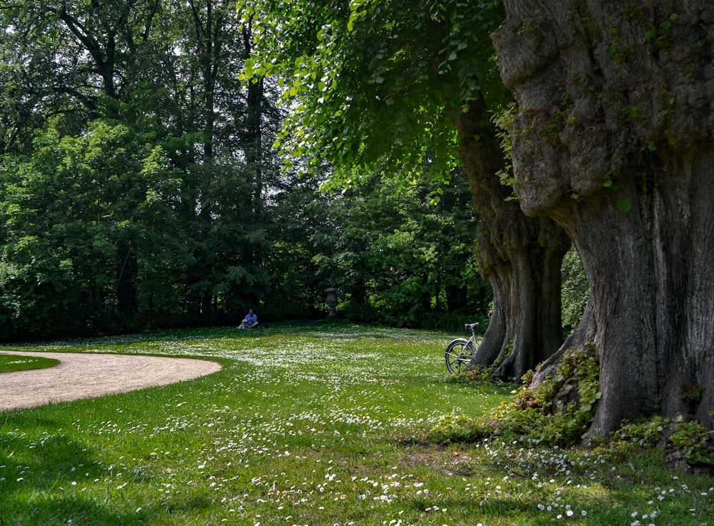 person sitting on grass surrounded with trees