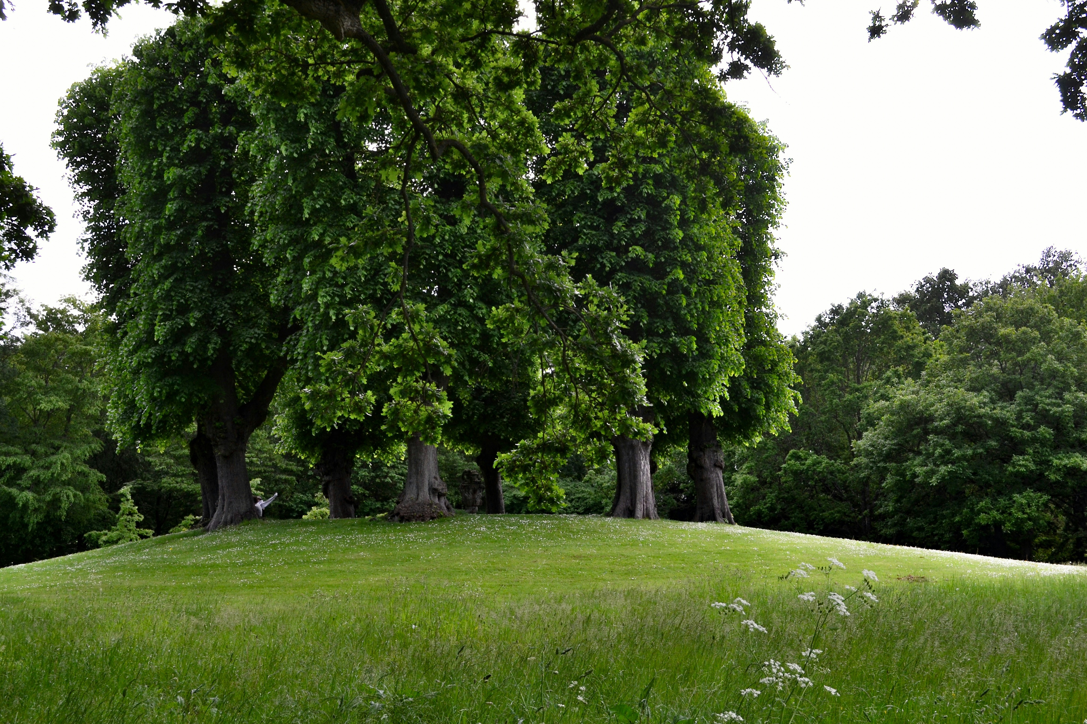 Photo by walking_abby