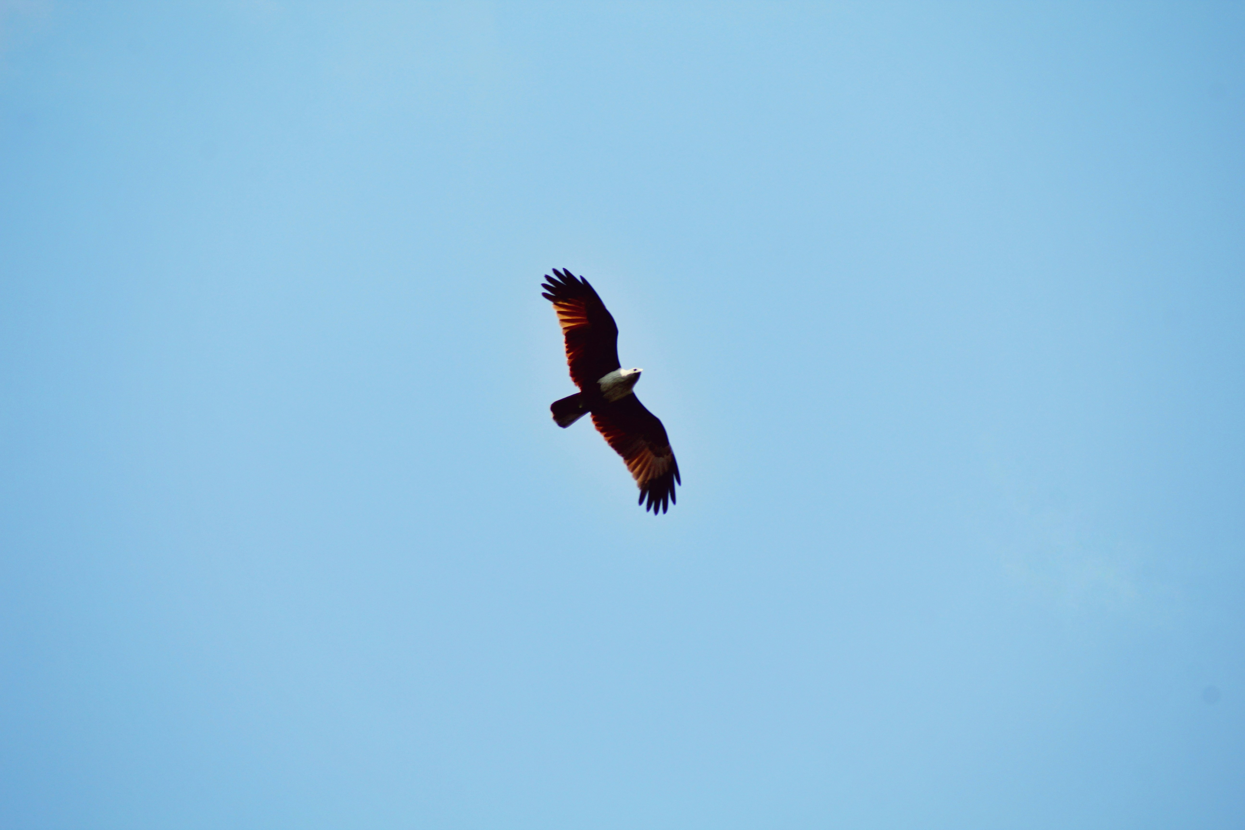 Photo by jadhav24omkar