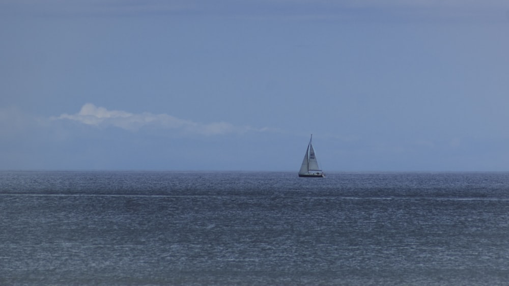 white and black sailboat out at sea