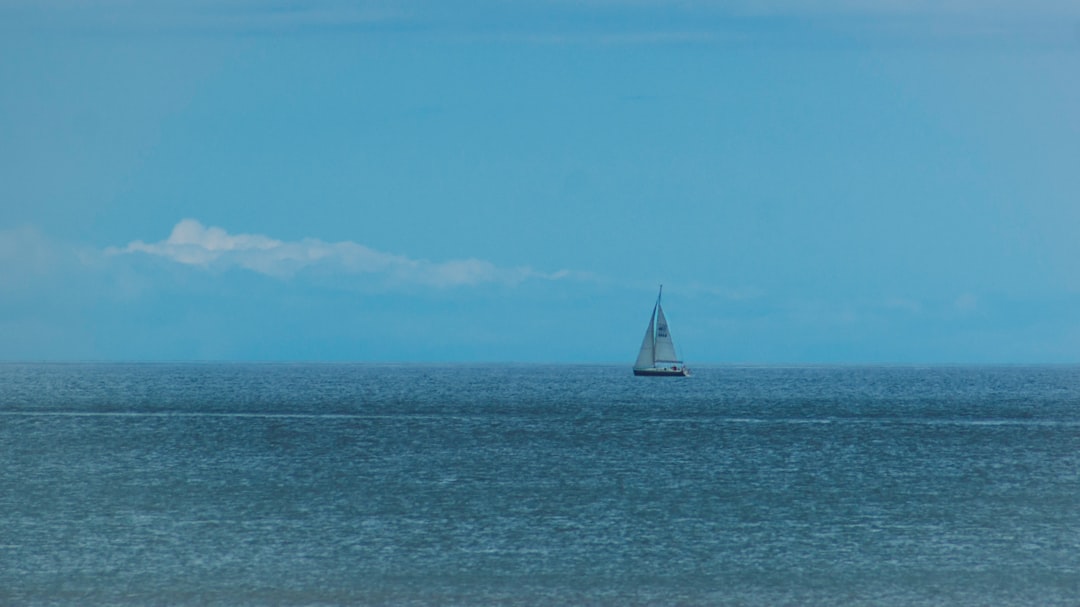 white and black sailboat out at sea