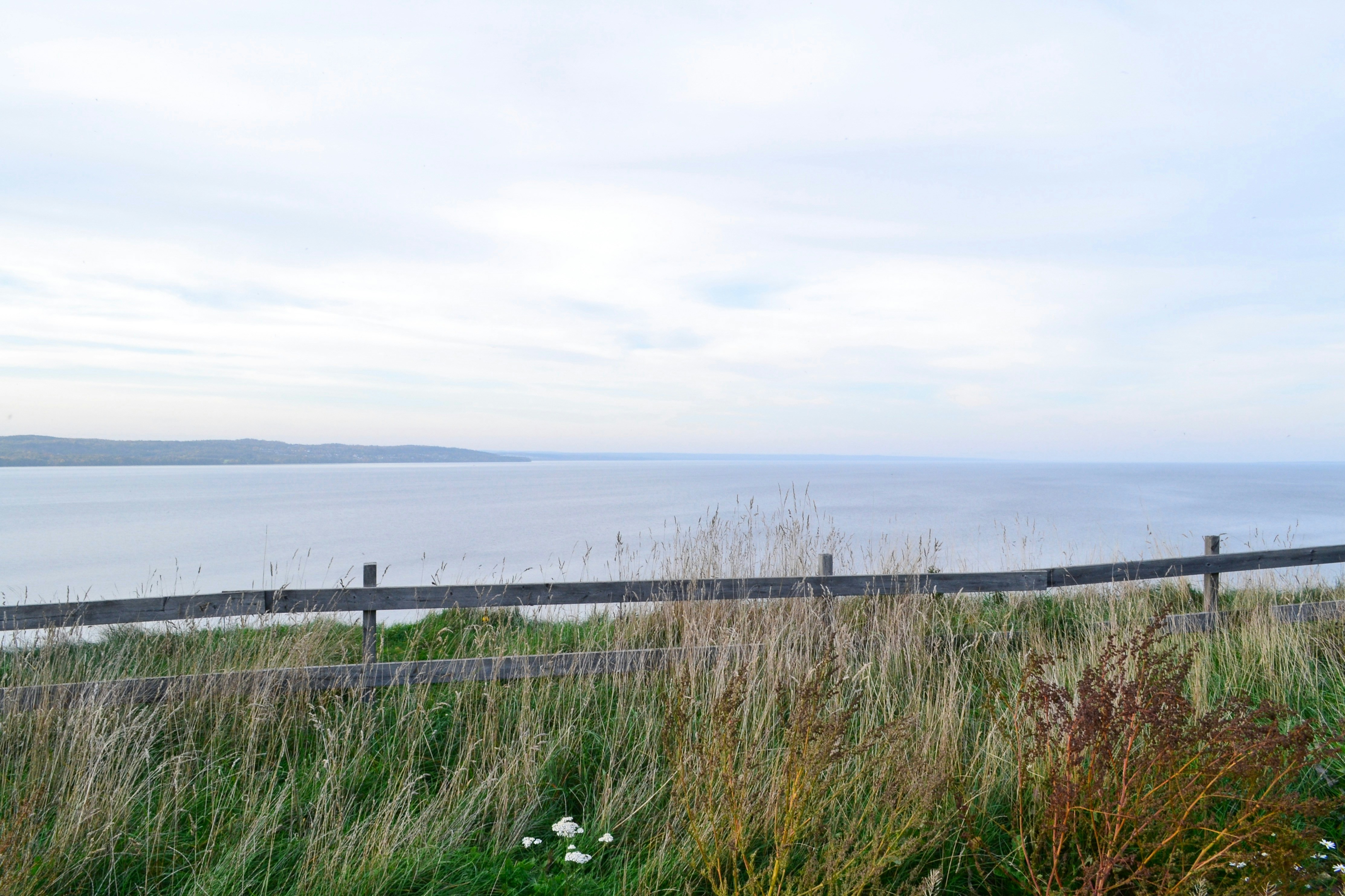 Photo by walking_abby