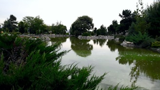 A serene park pond enhanced by Dalot Water’s natural landscaping.