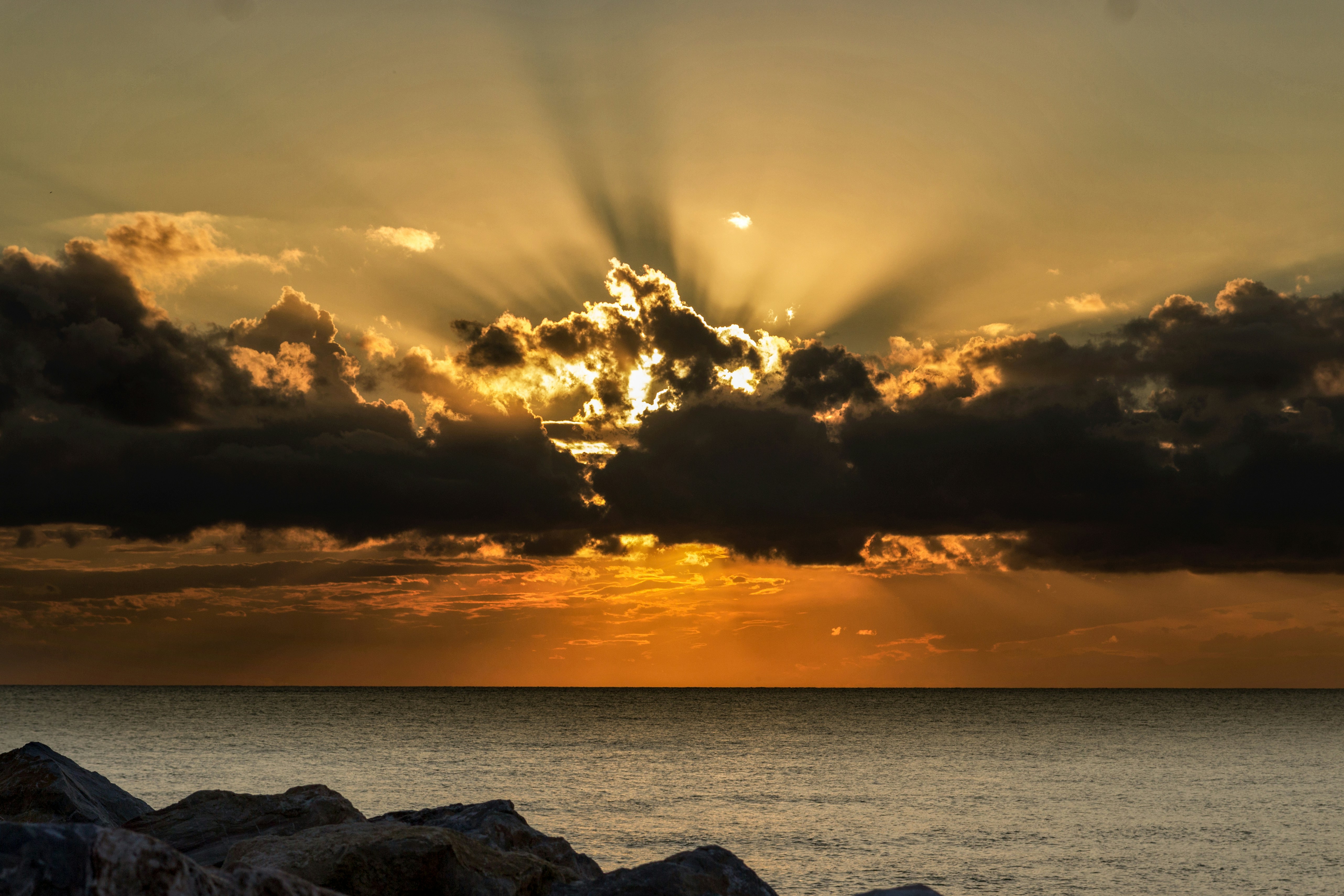 Photo by markophotography