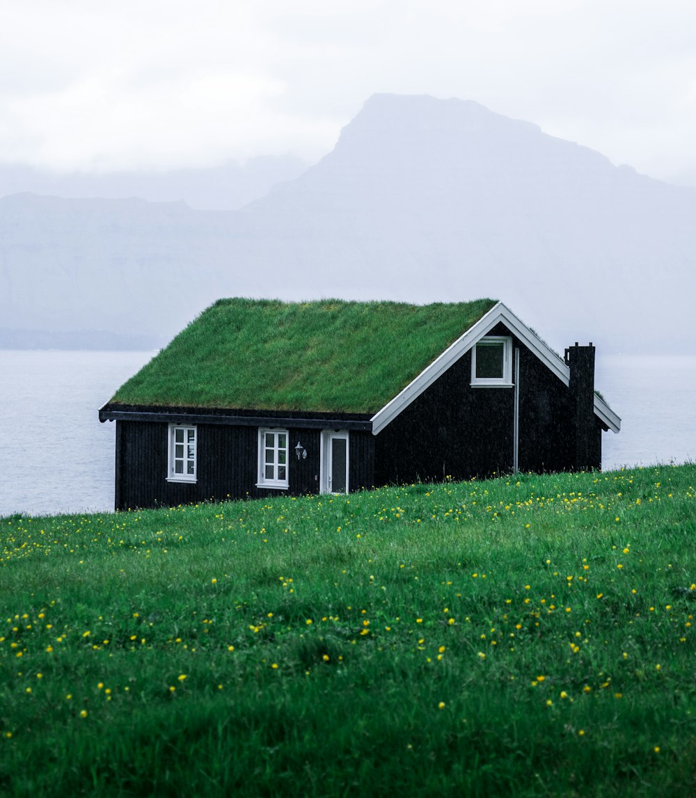 house beside body of water and grass field