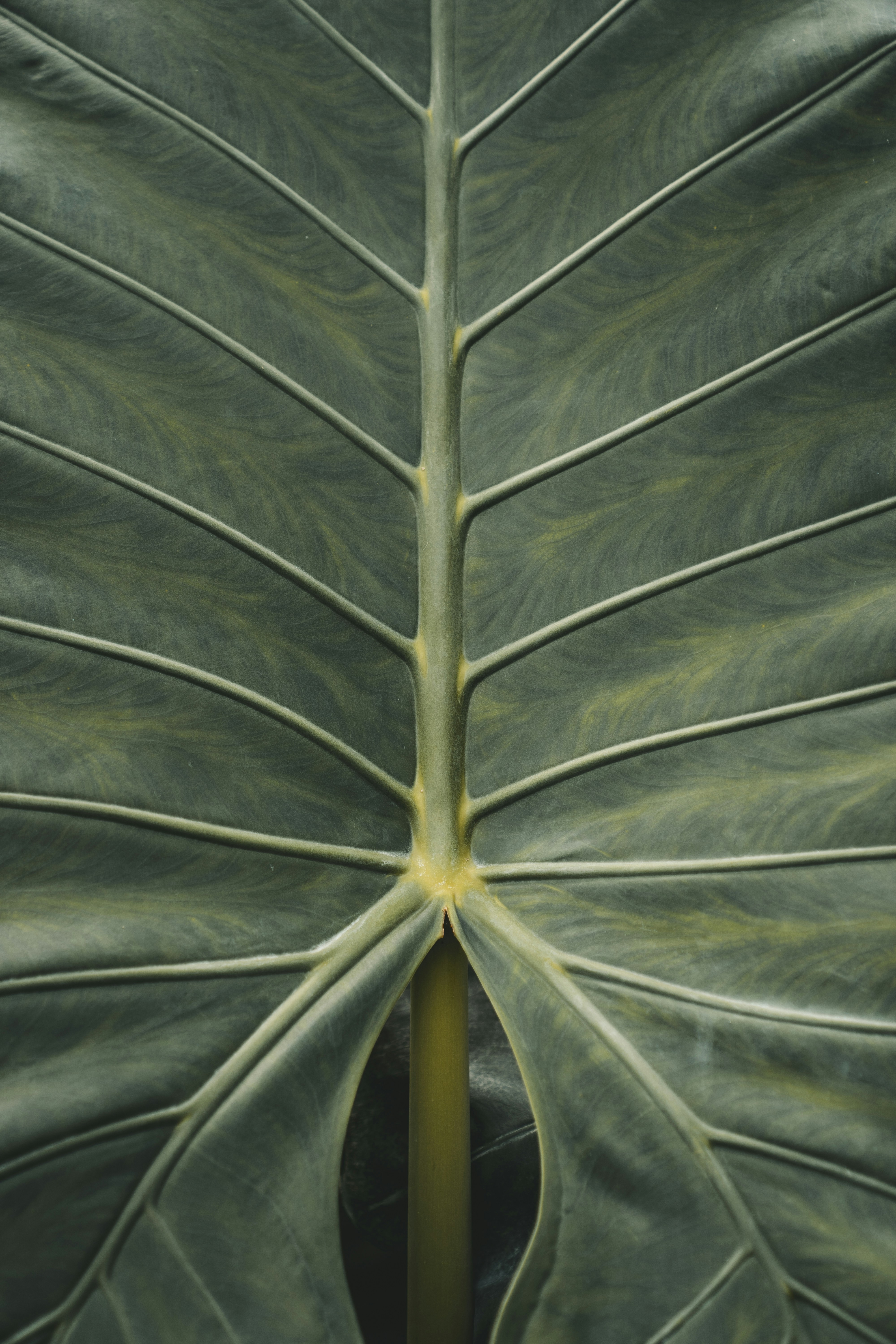 Photo by leonseierlein