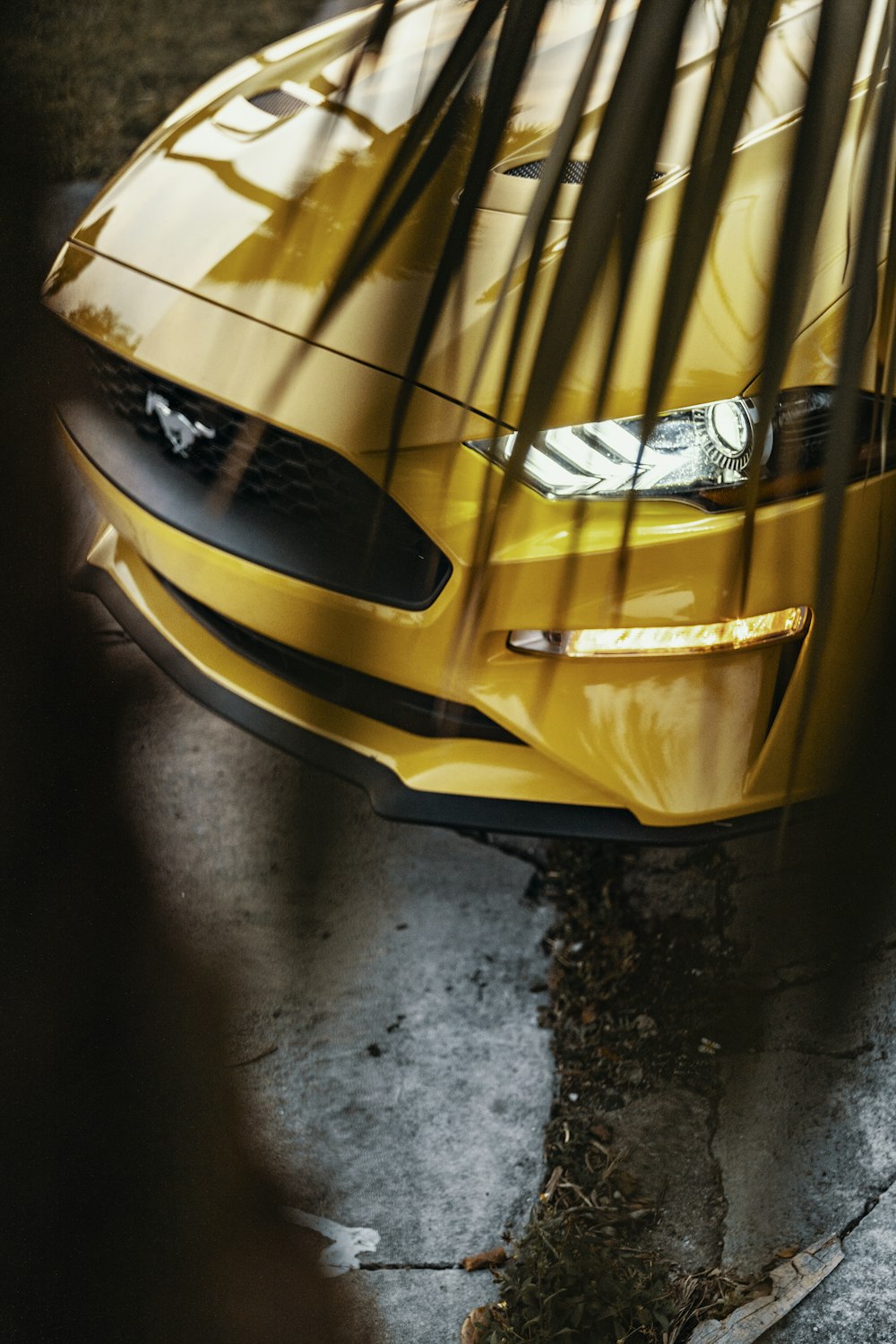 yellow and black Ferrari car