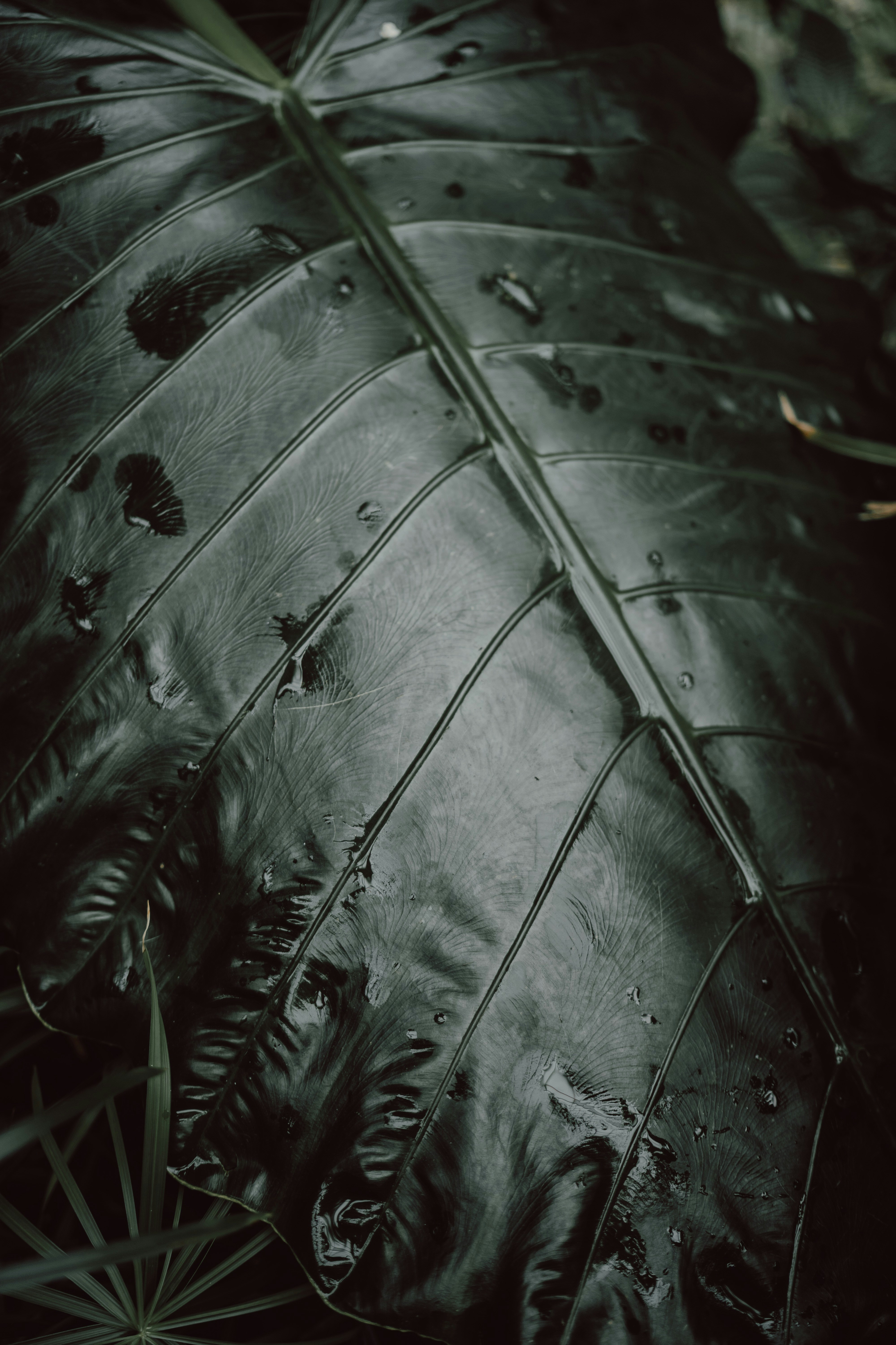 Photo by leonseierlein