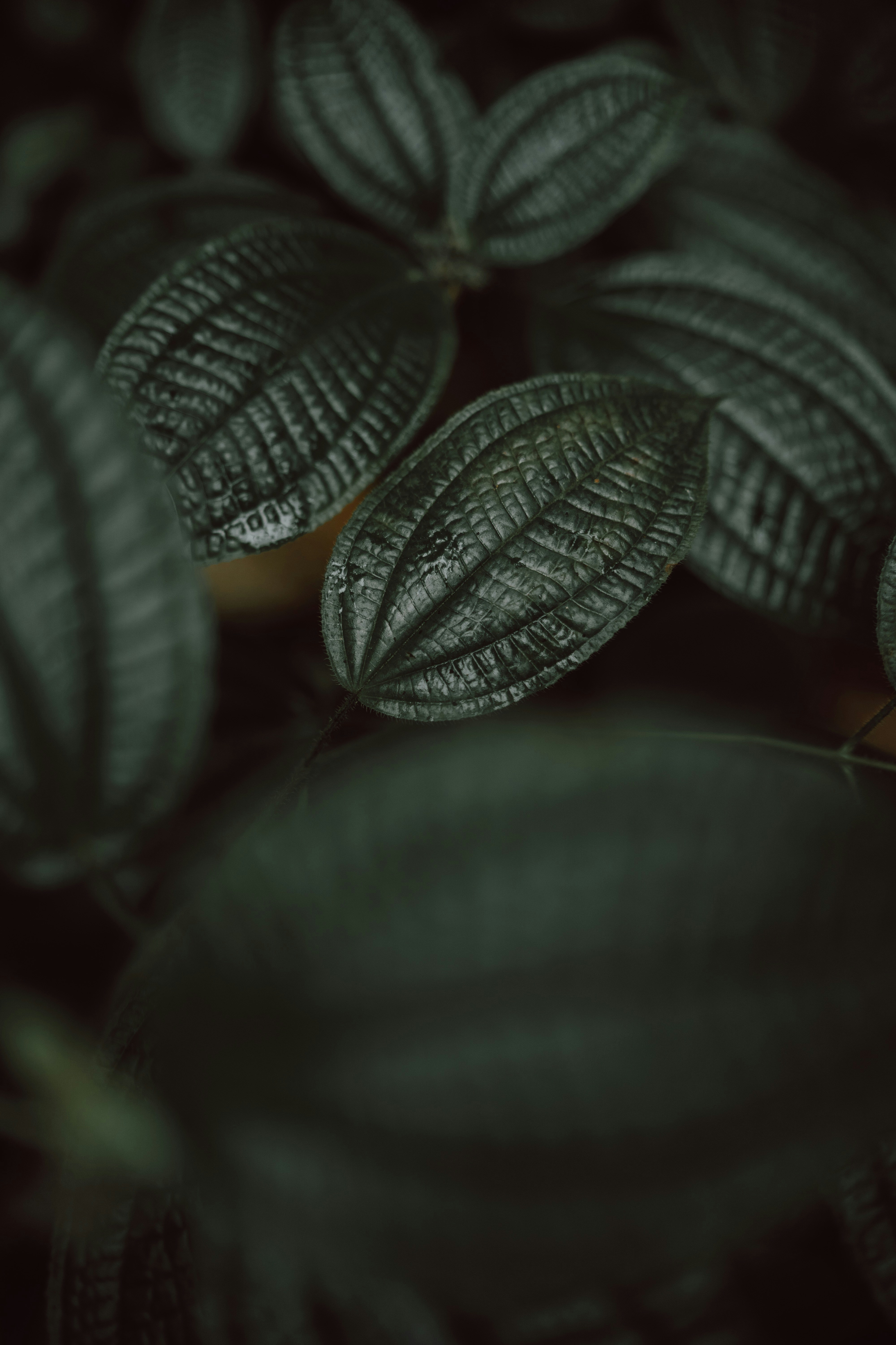 Photo by leonseierlein