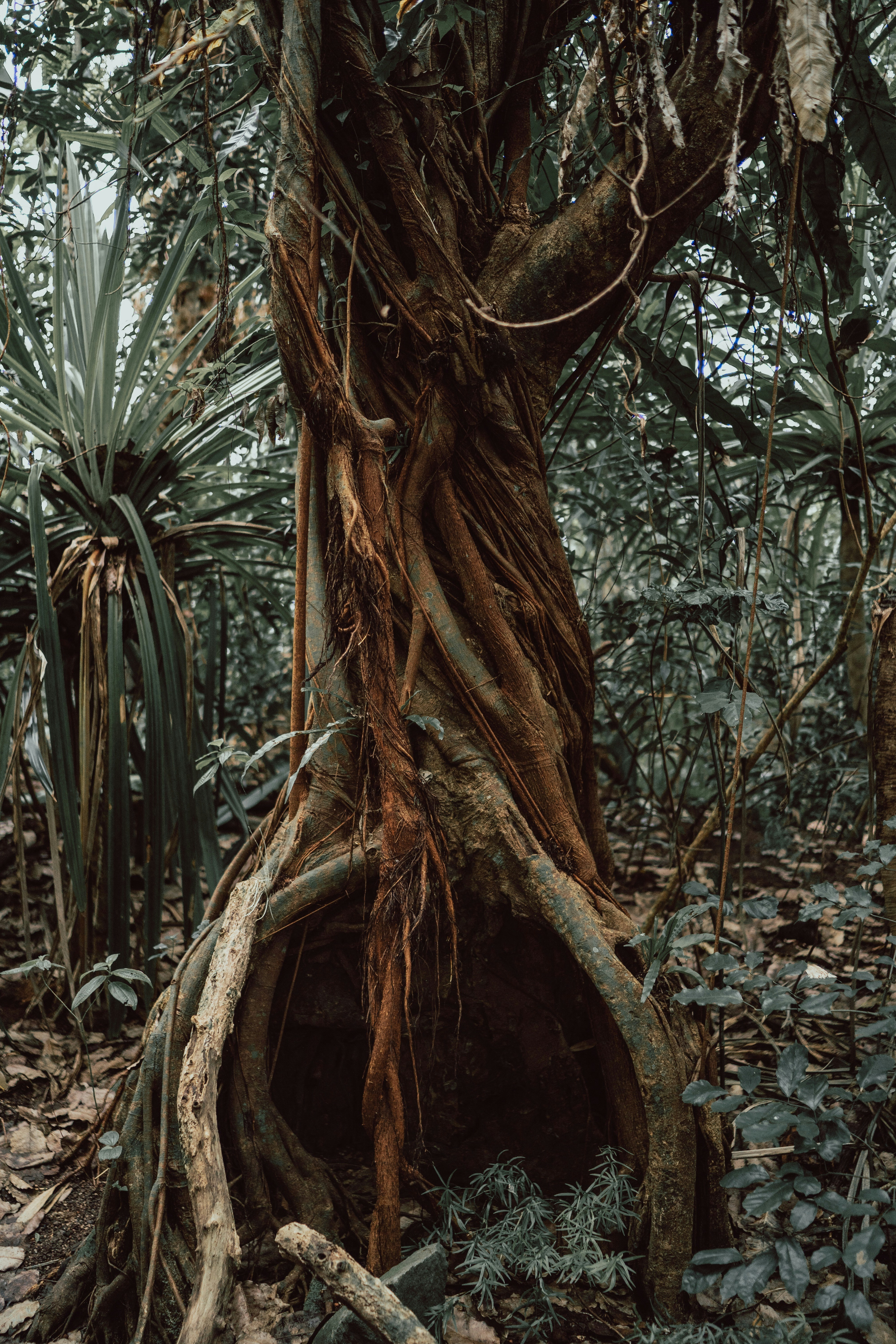 Photo by leonseierlein