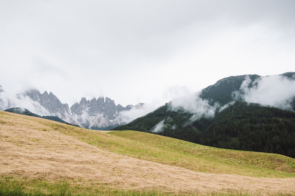 green grass field near mountain