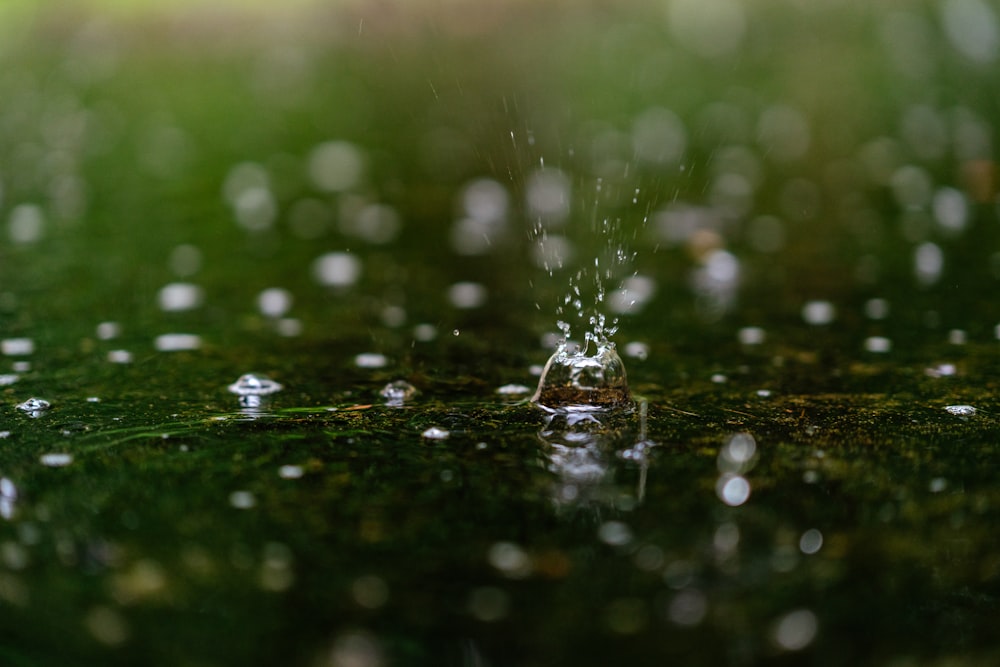 clear water drop