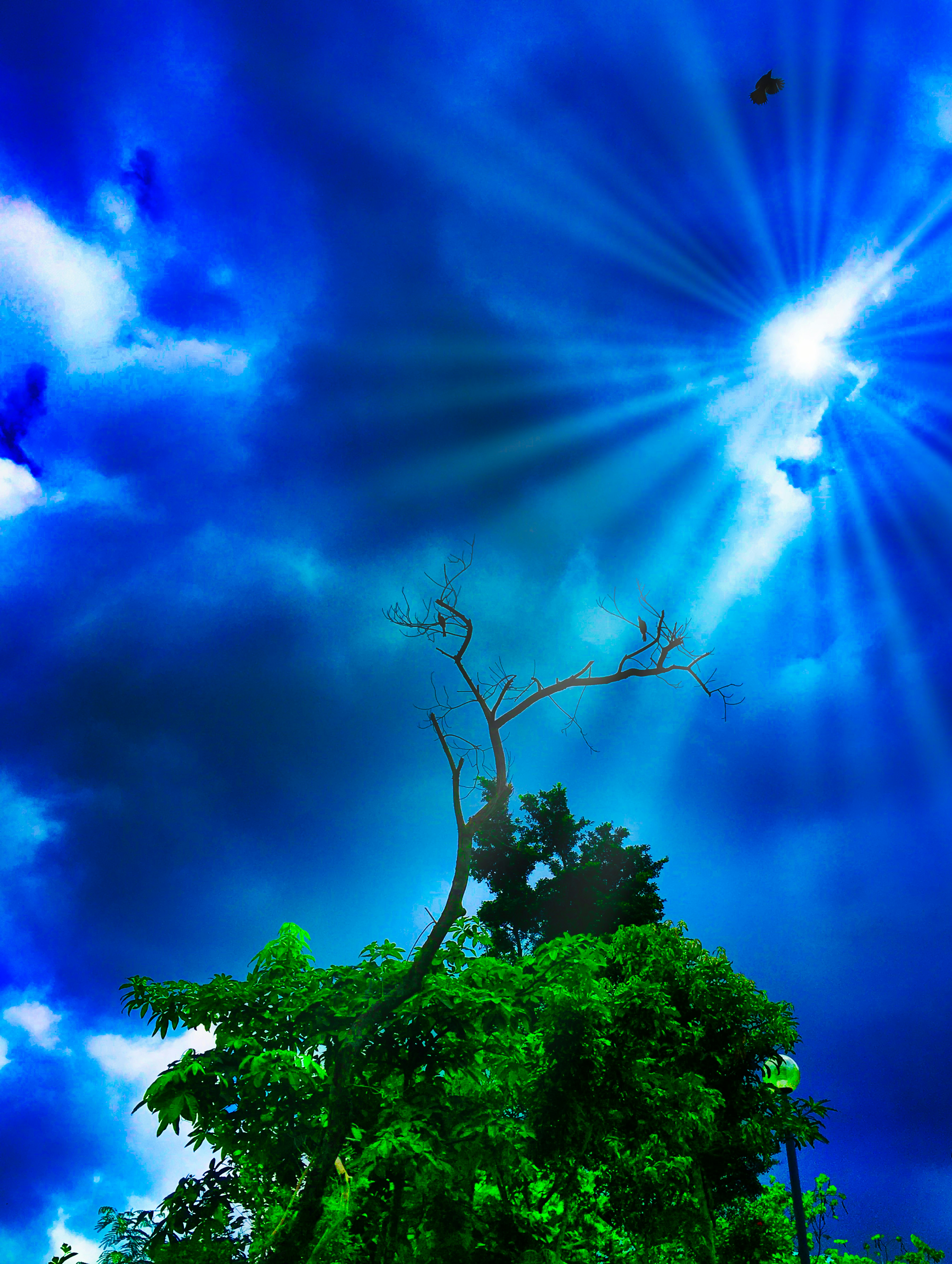 photo 1561815133 13a5e05ab8e4?ixlib=rb 4.0