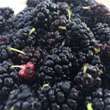 A close-up view of a cluster of ripe, dark mulberries with a glossy texture. The berries are densely packed, showcasing shades of deep purple and black, with small green stems visible on some.