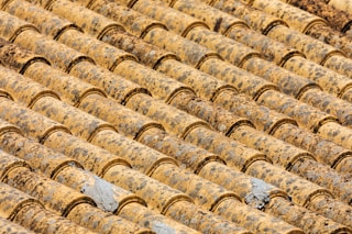 roof tiles