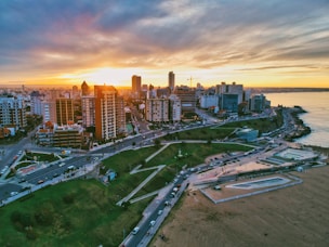 aerial photography of high-rise building beside seashore during daytime