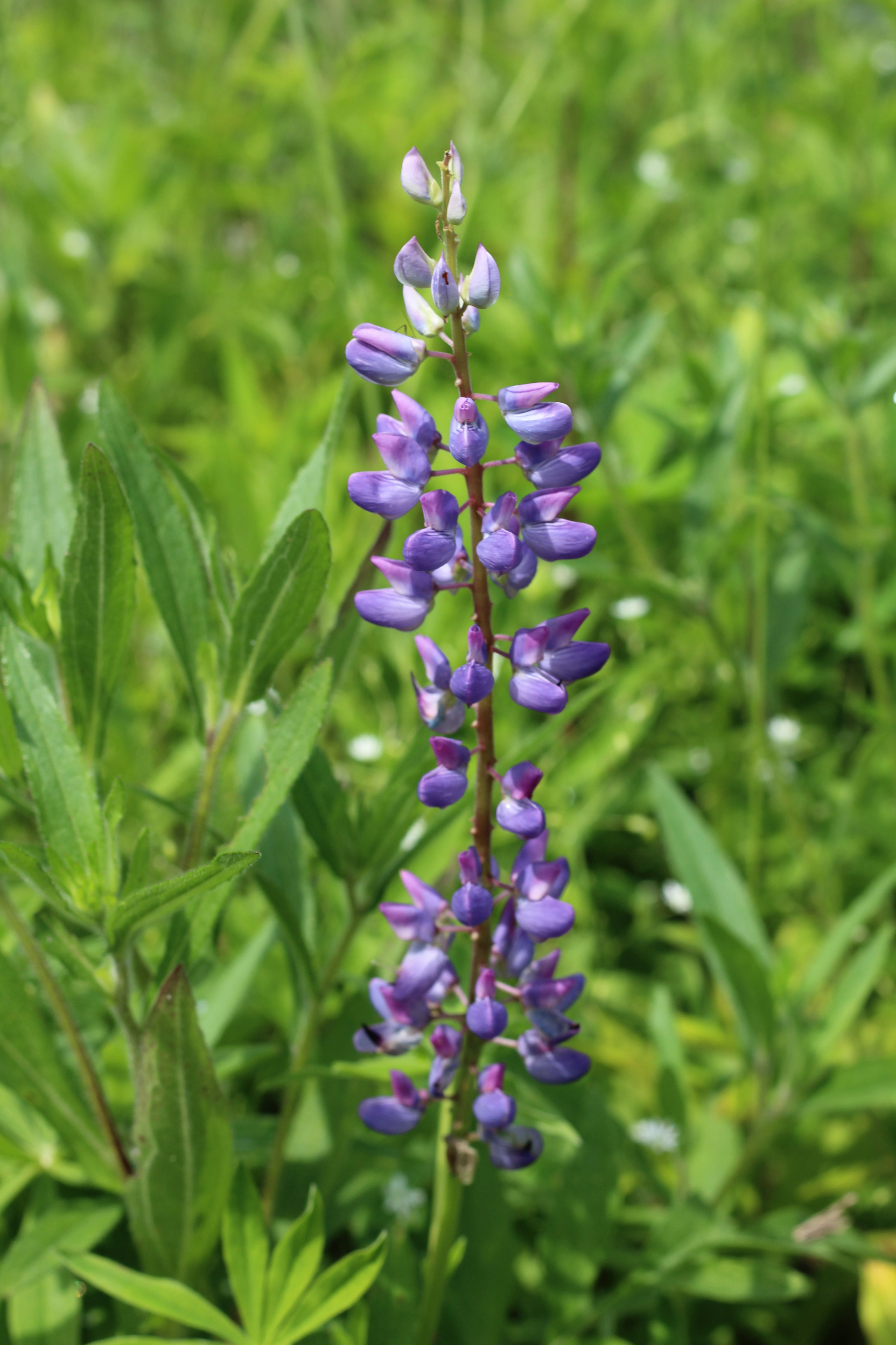 Photo by wisconsinpictures