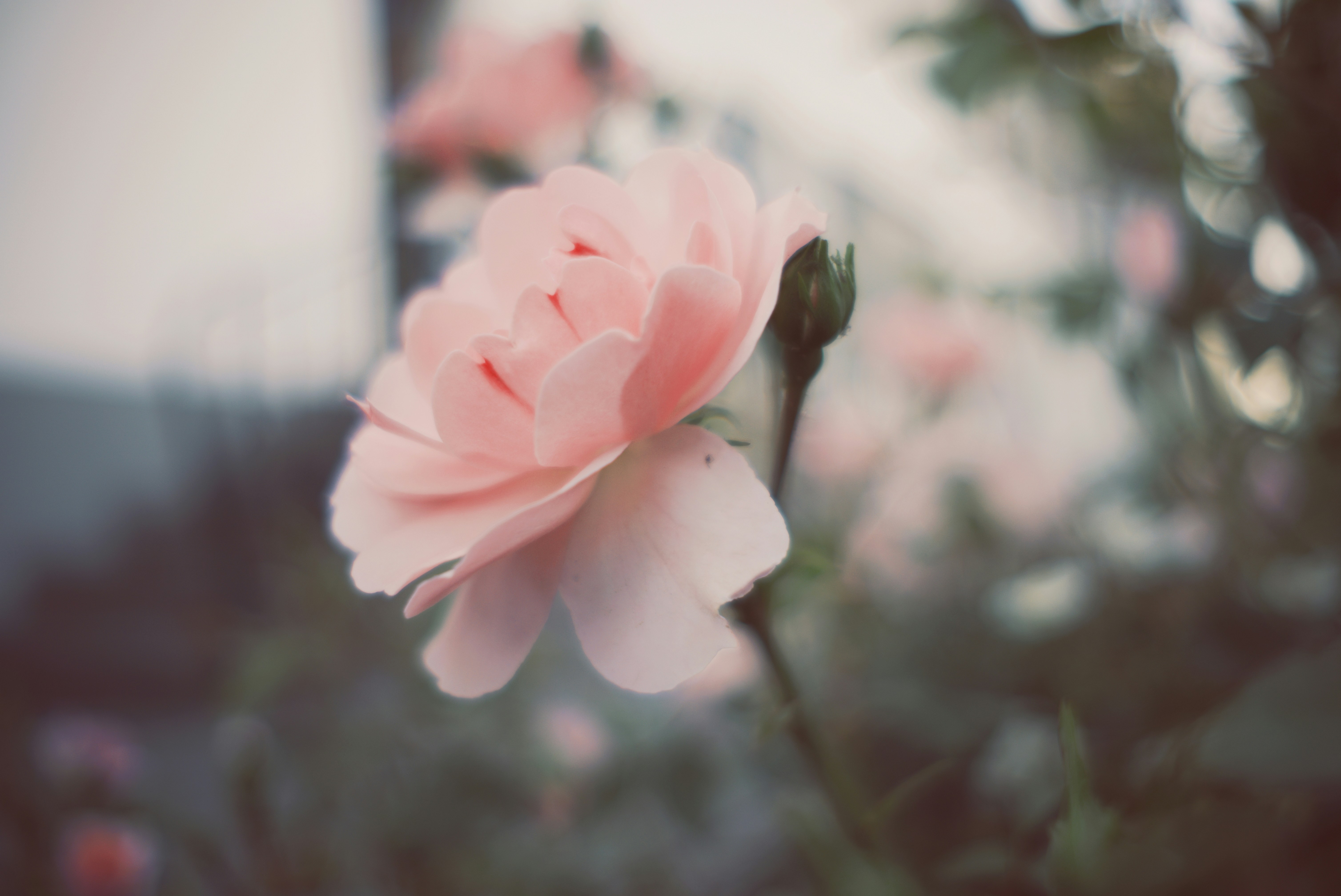 Photo by voyallaround