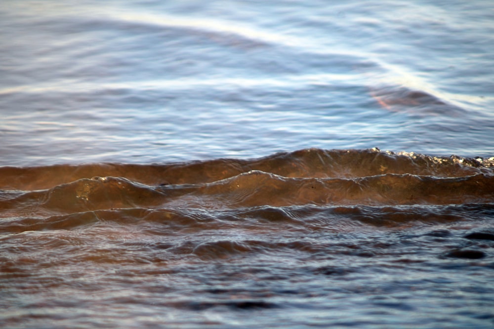 a close up of a wave in the ocean