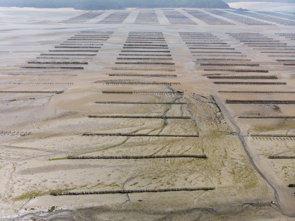 grey mud field