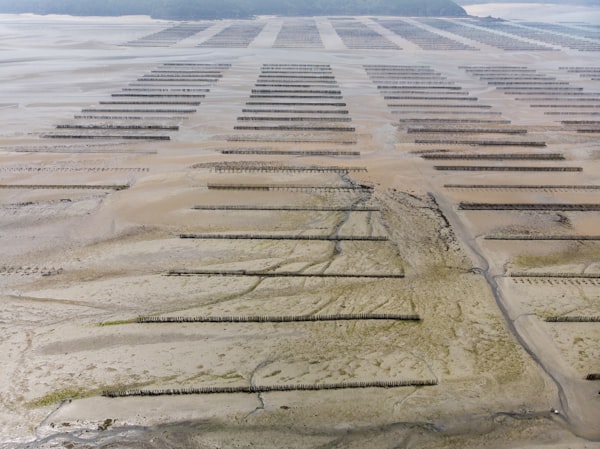Marais salants Guérande