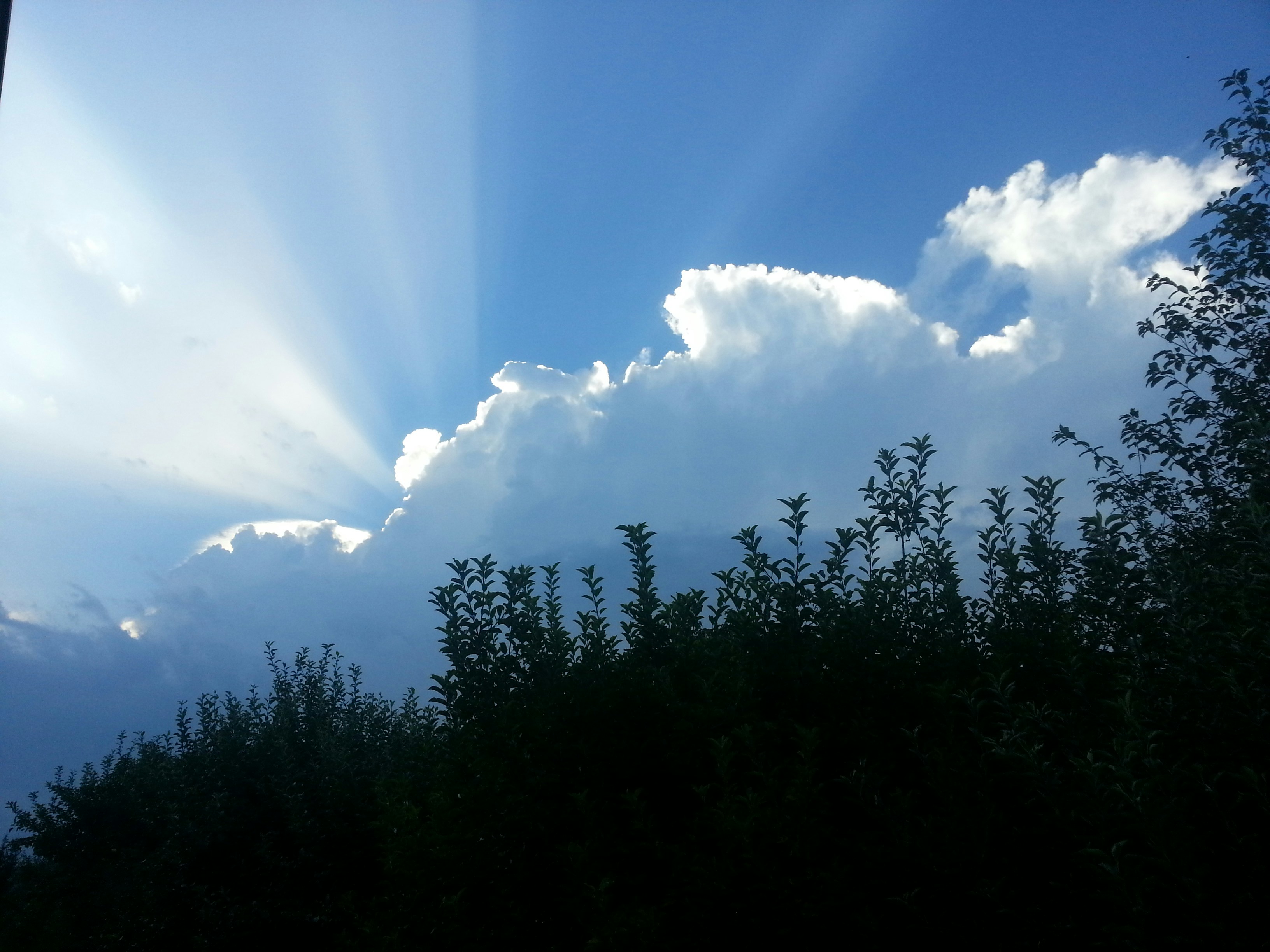 green grass under nimbus clouds at daytime