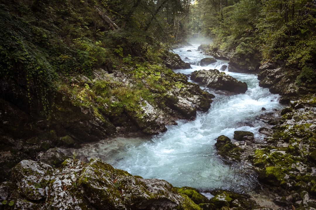 Waterfall photo spot Vintgar Triglav