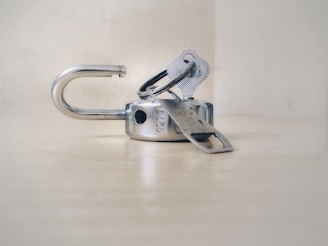gray stainless steel padlock