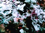 Shredded confidential documents ready for recycling.