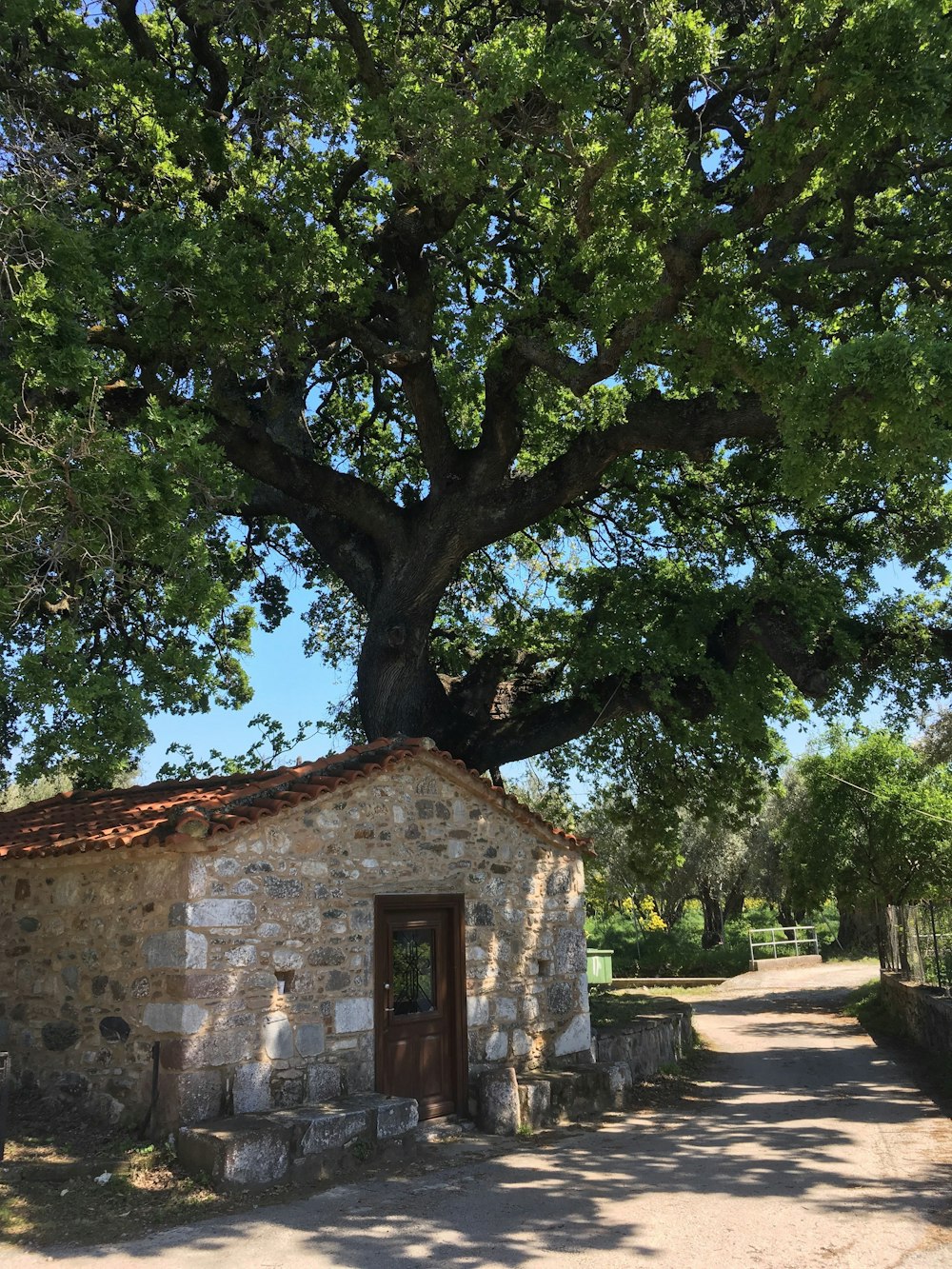 brown house beside tree