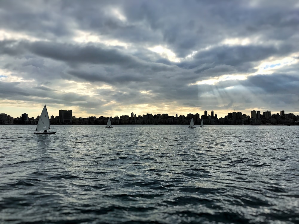 sailboats on water