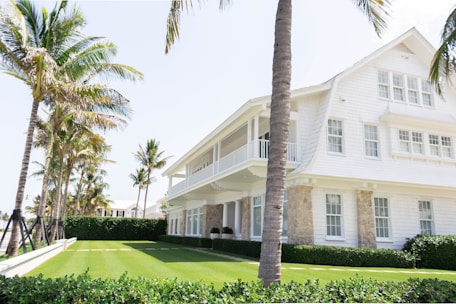 white wooden house near palm trees